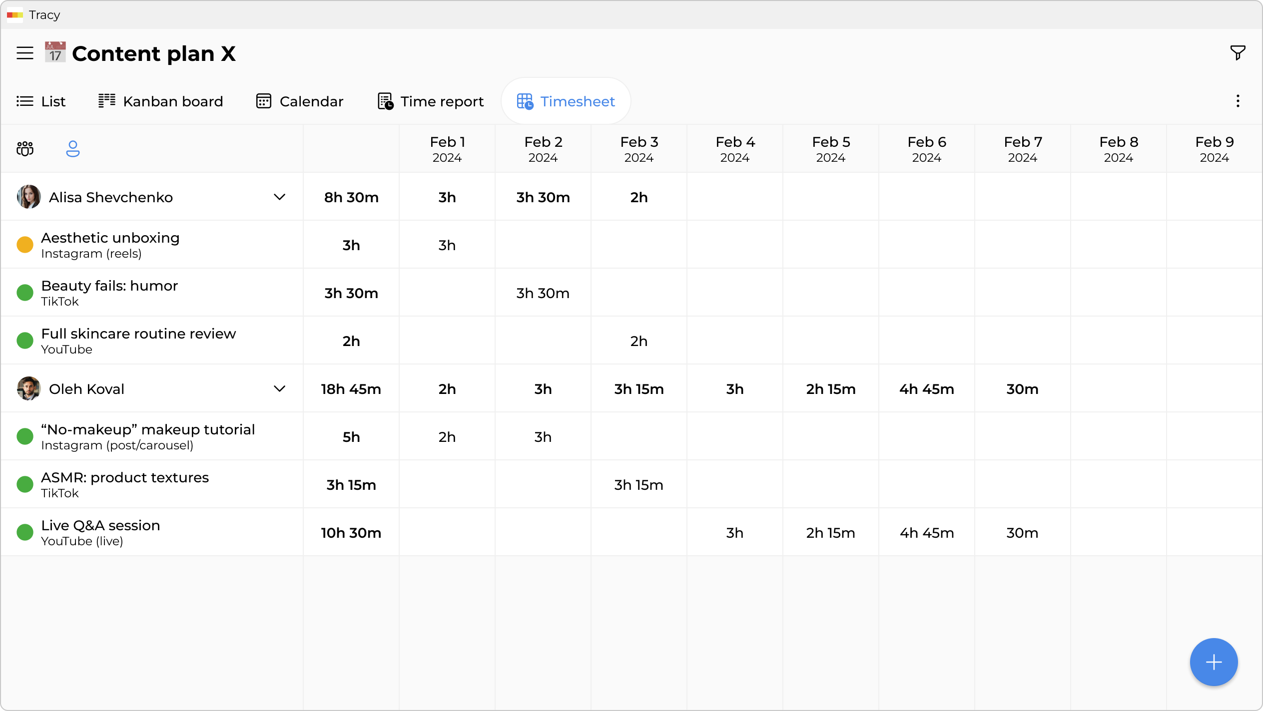 Team timesheet—who worked how much